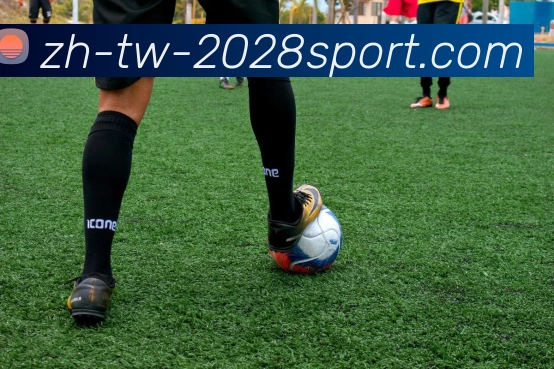 2028体育官网APP 封面图